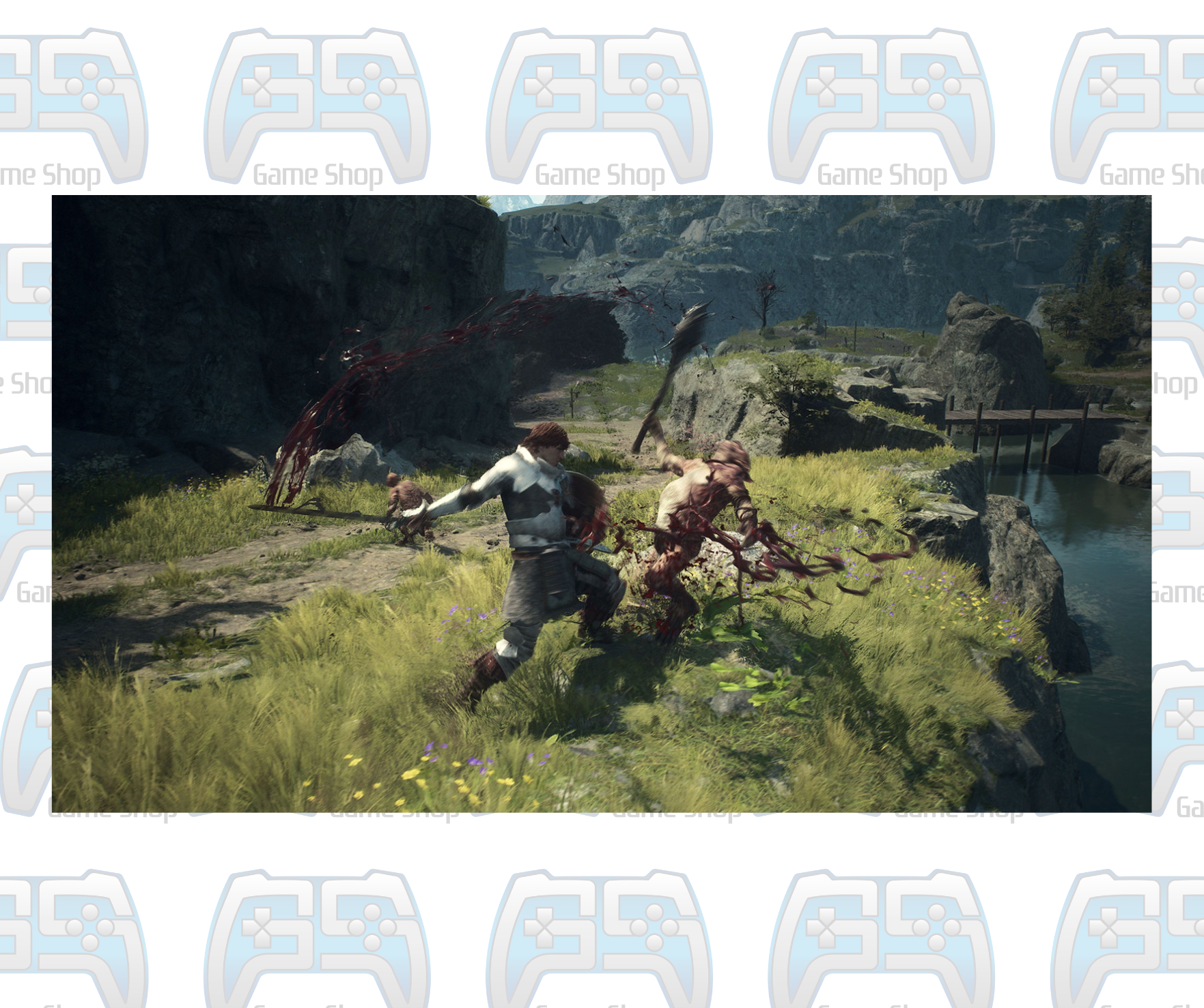 DRAGON'S DOGMA 2 | PS5