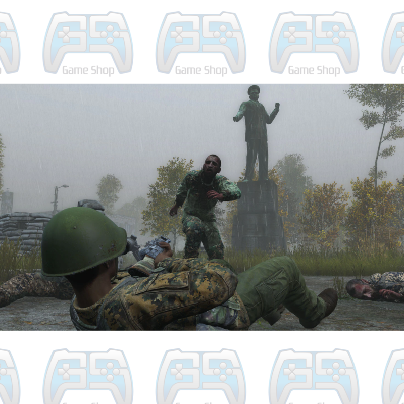 DAYZ | PS4 4
