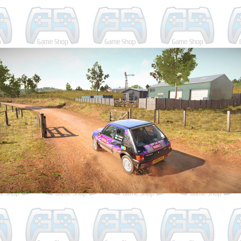DIRT 4 | PS4 | OCCASION 2