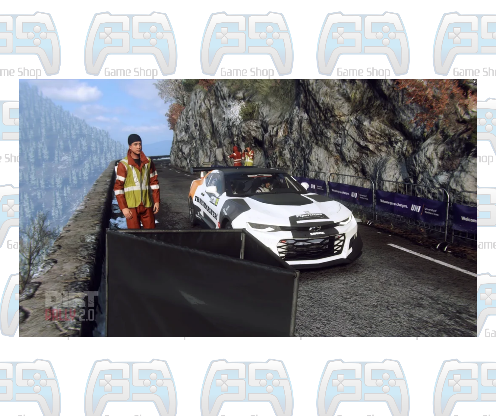 DIRT RALLY 2.0 | PS4 | OCCASION