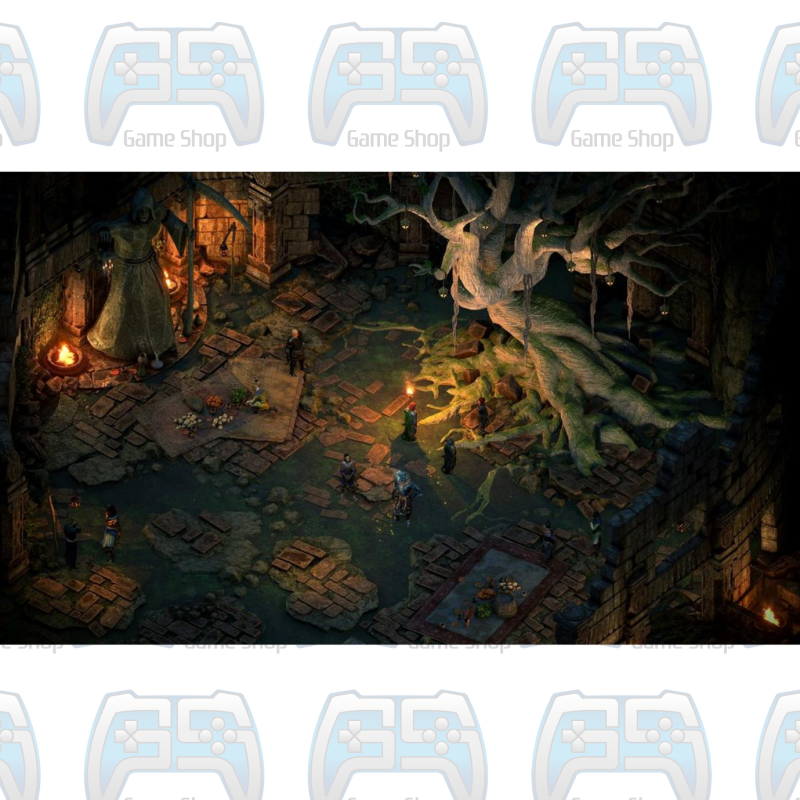 PILLARS OF ETERNITY II : DEADFIRE | PS4 2