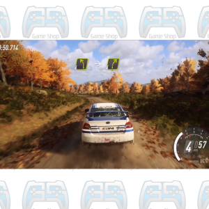 DIRT RALLY 2.0 | PS4 | OCCASION 2