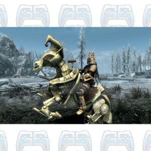 SKYRIM ANNIVERSARY EDITION | PS4 | OCCASION 2