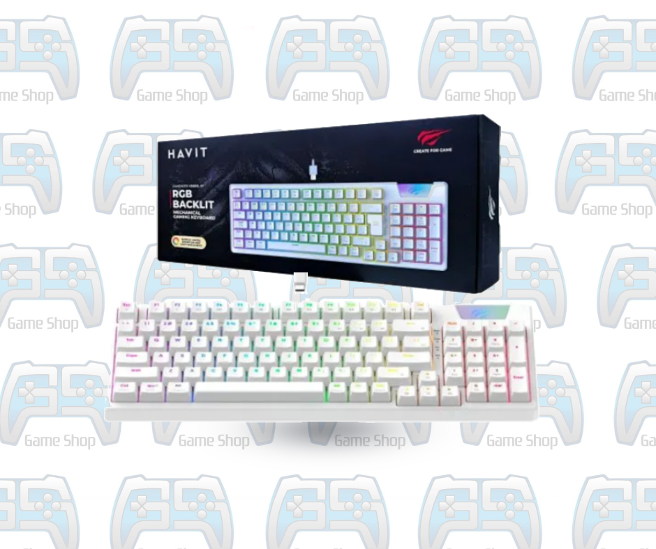 CLAVIER GAMER HAVIT KB4885L RGB