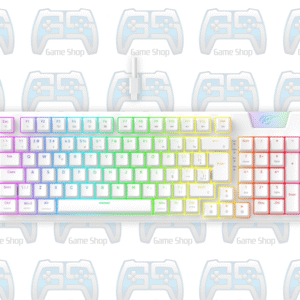 CLAVIER GAMER HAVIT KB4885L RGB 2