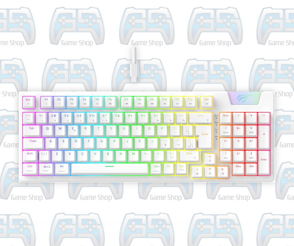 CLAVIER GAMER HAVIT KB4885L RGB